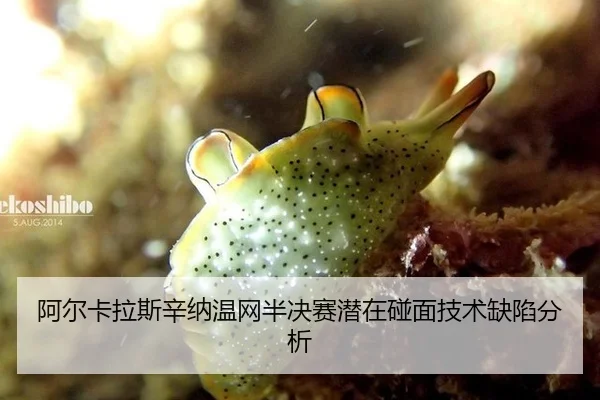 阿尔卡拉斯辛纳温网半决赛潜在碰面技术缺陷分析