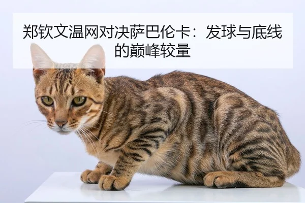 郑钦文温网对决萨巴伦卡：发球与底线的巅峰较量